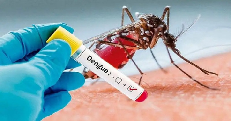 ডেঙ্গুতে একদিনে আরও ৮ জনের মৃত্যু