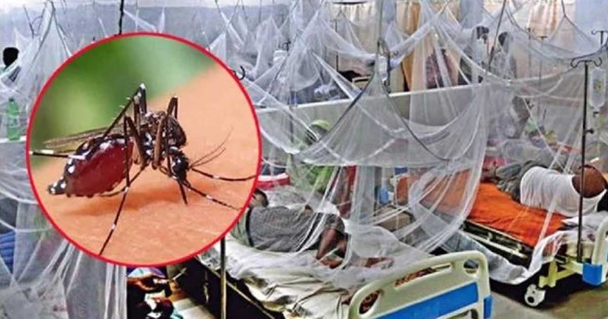 ডেঙ্গু আক্রান্ত হয়ে হাসপাতালে ভর্তি ২৪৫