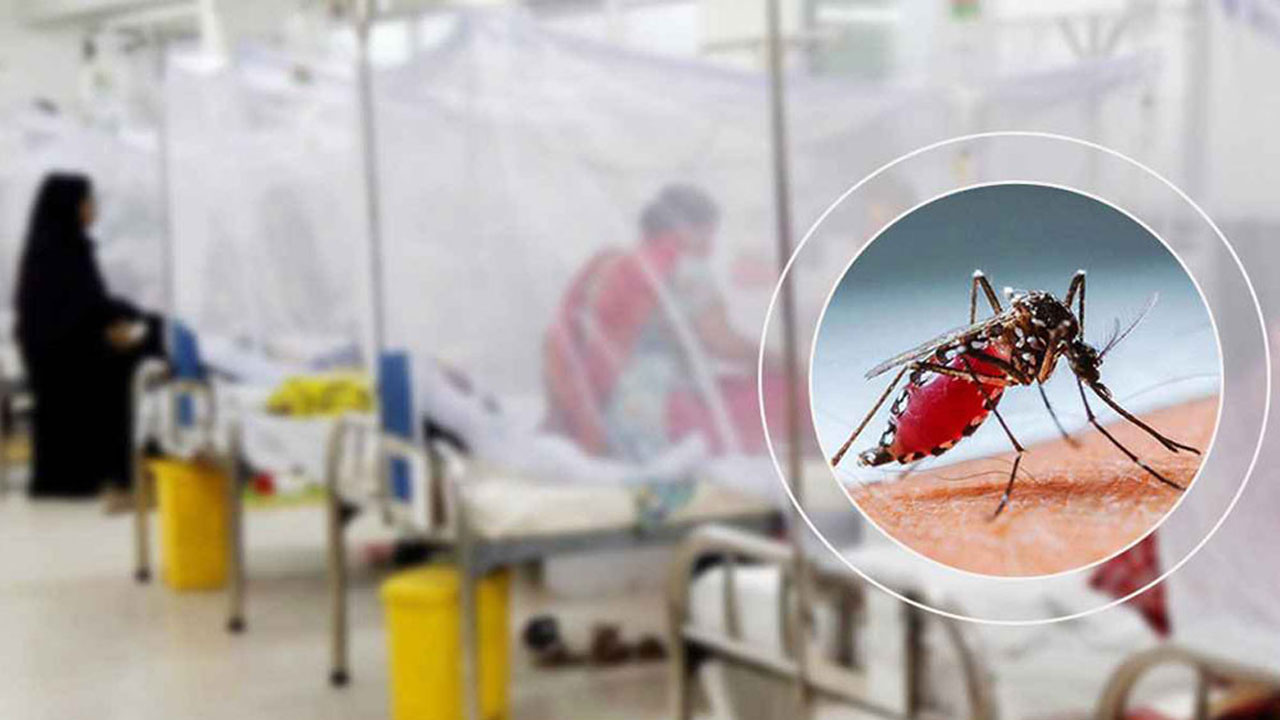 ডেঙ্গুতে ২৪ ঘণ্টায় ৫ জনের মৃত্যু, হাসপাতালে ভর্তি ৪৯০