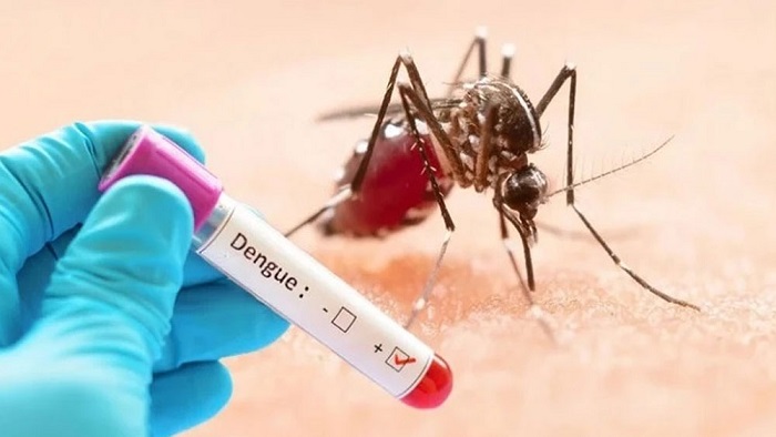 ডেঙ্গুতে আরও ৯ মৃত্যু, হাসপাতালে ১২১৪